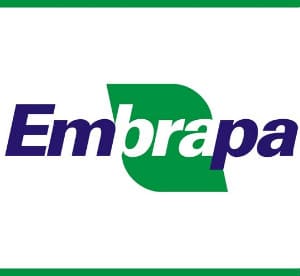 EMBRAPA: Inscrições abertas para o processo de seleção de bolsistas CNPq 2020