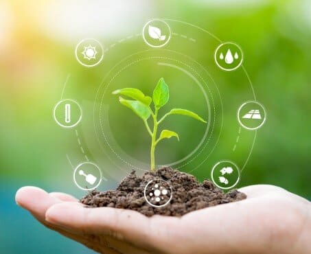 Plano Safra para Agricultura Familiar 2023/2024: confira as linhas de Crédito da CAIXA Plano Safra para Agricultura Familiar 2023/2024: confira as linhas de Crédito da CAIXA