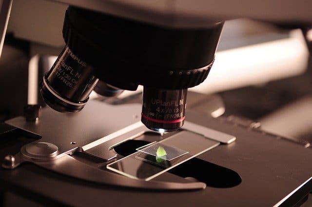 ,MCTI, CNPq, ,novas tecnologias , bioinformática , biotecnologia,tecnologia, microscope-geaeff61e2_640 ,MCTI, CNPq, ,novas tecnologias , bioinformática , biotecnologia,tecnologia,