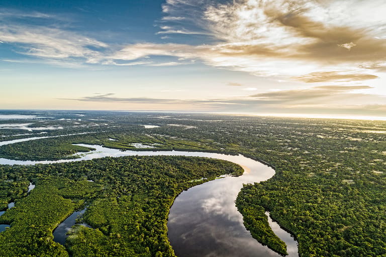 Floresta amazônica no enem