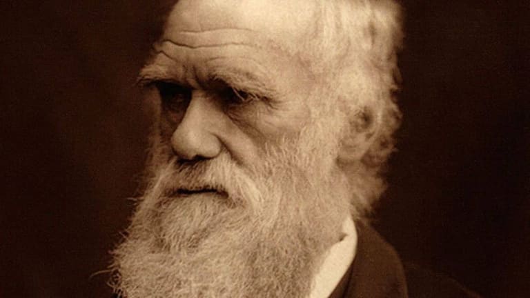 Darwin3
