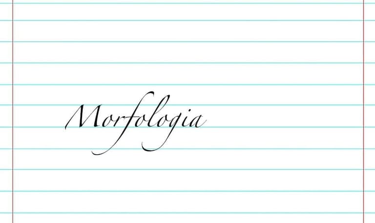 morfologia