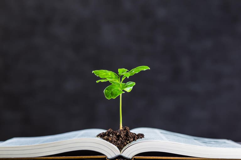 Educação ambiental Educação ambiental