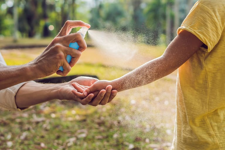 Aprenda como fazer repelente caseiro que não agride a saúde – Reprodução Canva Aprenda como fazer repelente caseiro que não agride a saúde - Reprodução Canva