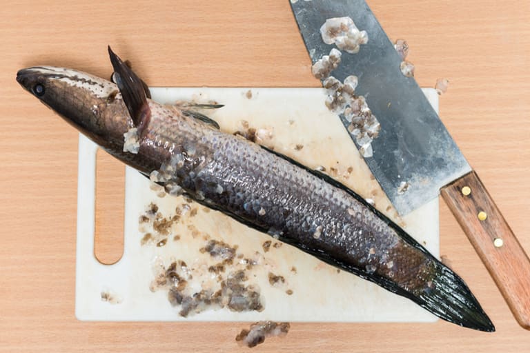 Como tirar as escamas do peixe de forma prática -- Reprodução Canva