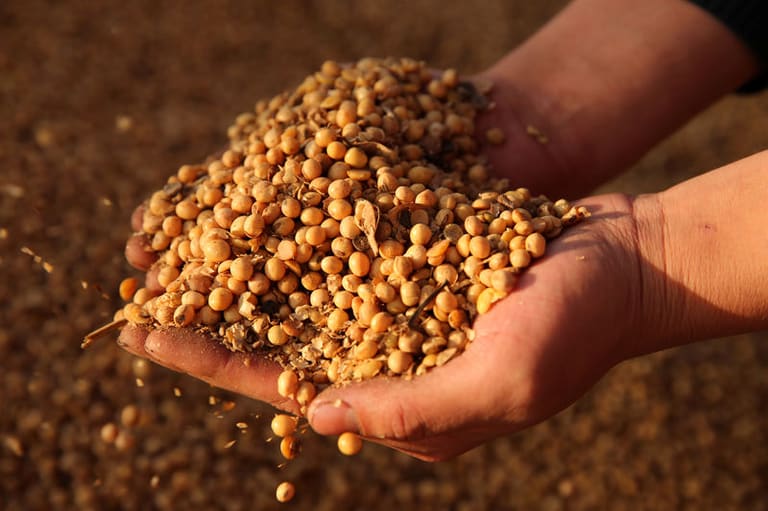 commodities