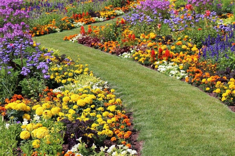 Veja quais as melhores dicas para ter jardim colorido o ano todo