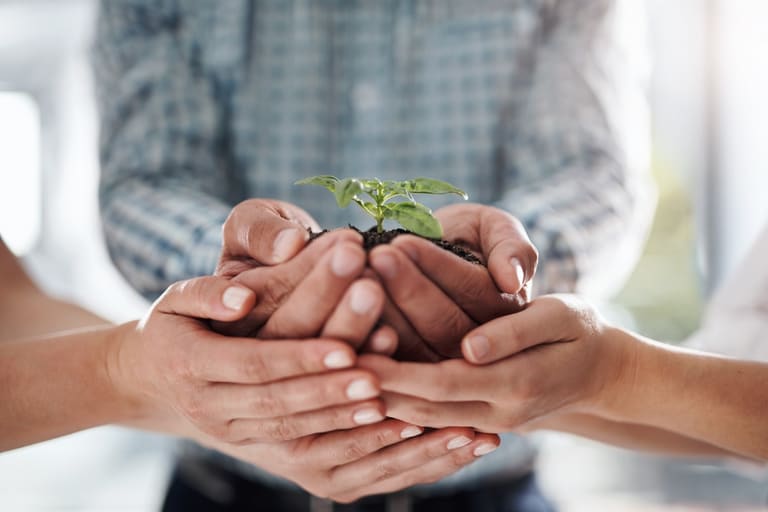 Empresa sustentável: conheça o conceito e saiba como ajustar o seu negócio