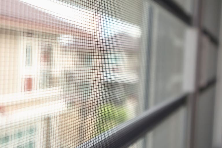 Como proteger a casa dos insetos sem usar produtos químicos_ - Reprodução Canva