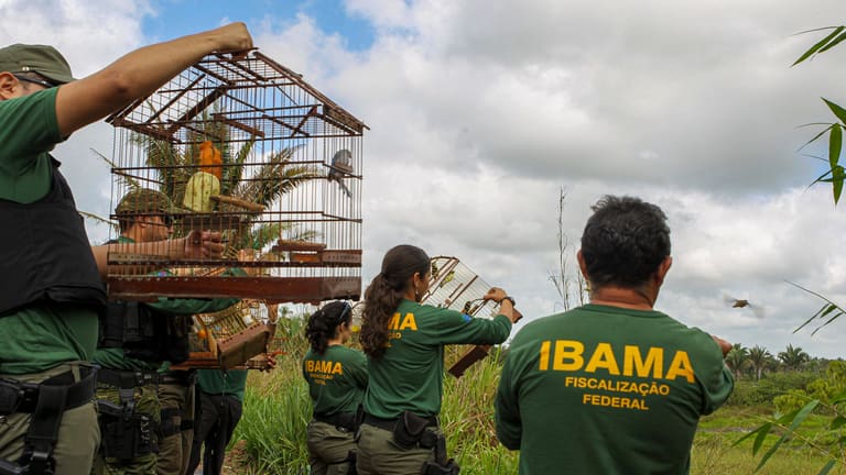 IBAMA chamará excedentes de concurso público