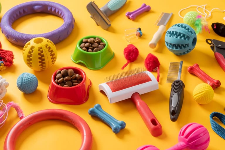 Creche Pet é um negócio lucrativo e interessante, confira dicas para começar- Reprodução Canva Creche Pet é um negócio lucrativo e interessante, confira dicas para começar- Reprodução Canva