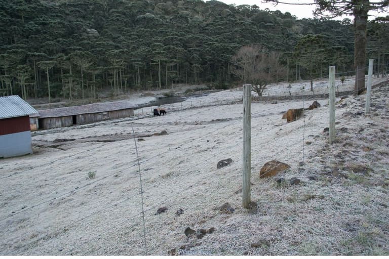 ALERTA de Frio de 2ºC abaixo de zero e geada, mas calor pode voltar ALERTA de Frio de 2ºC abaixo de zero e geada, mas calor pode voltar