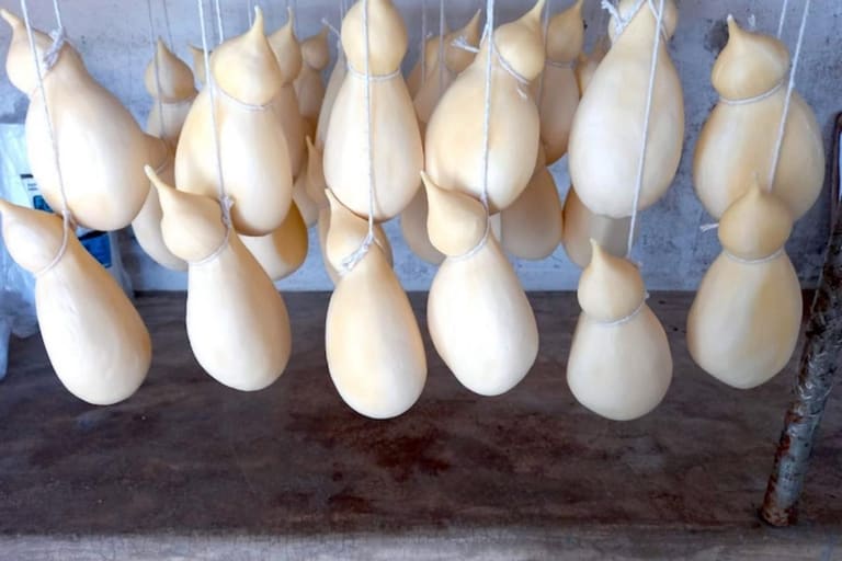Este QUEIJO foi declarado patrimônio cultural e imaterial e brasileiros comemoram