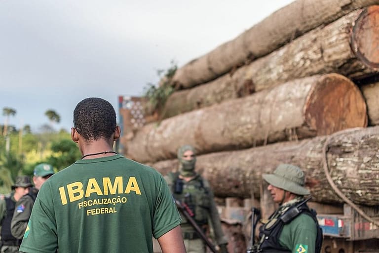 IBAMA faz mudanças em carreiras: edital de concurso sai em breve