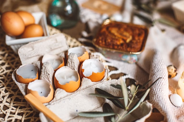 Como usar cascas de alimentos no jardim- Reprodução Pexels Como usar cascas de alimentos no jardim- Reprodução Pexels