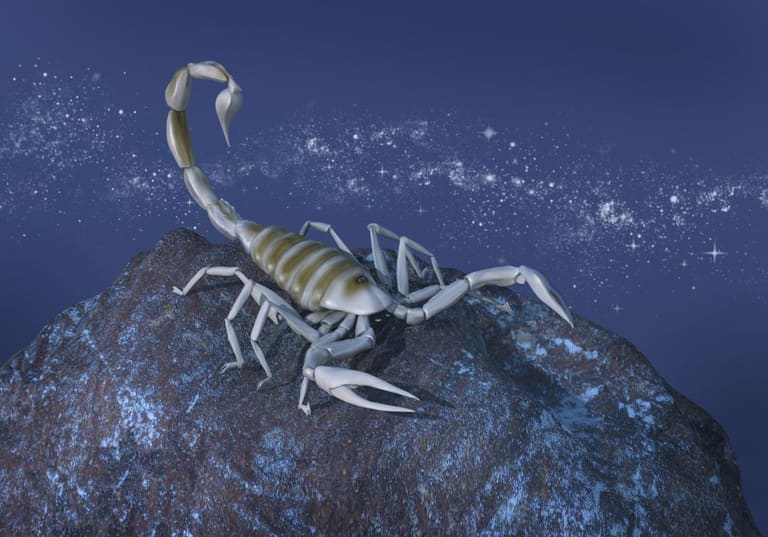 Escorpião combina com qual signo Descubra!
