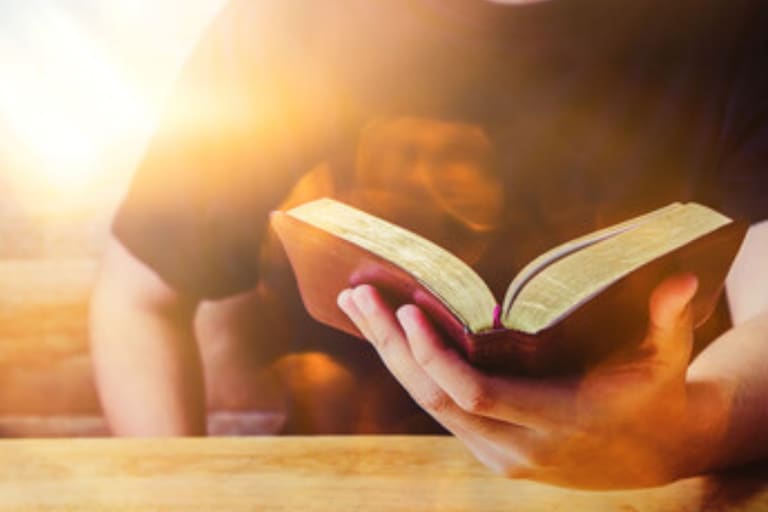 5 livros para ler antes do ano acabar