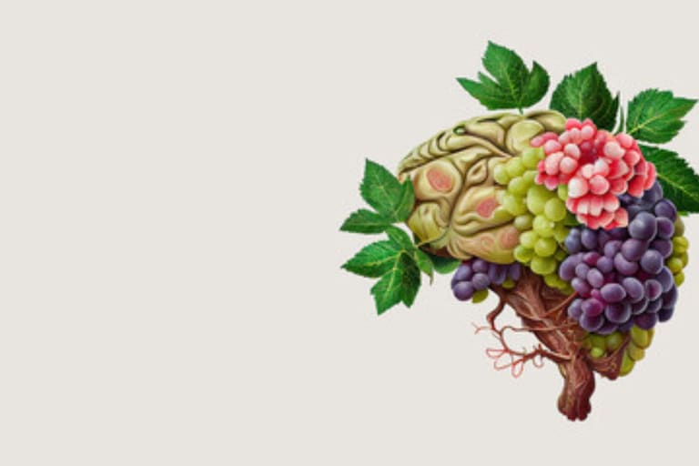 Alimentos Poderosos para a Mente