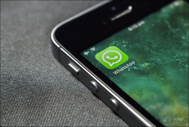 Confira informações importantes sobre contatos do WhatsApp