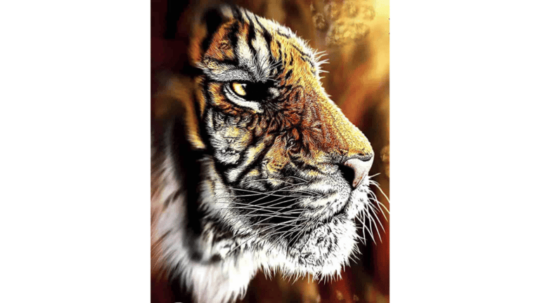 Encontre 4 tigres ocultos