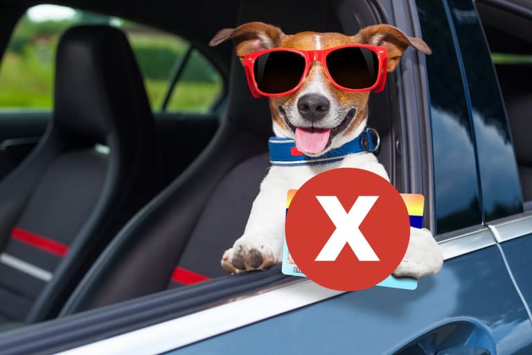 Tire sua CNH URGENTE! Mudanças nas regras poderão dificultar a vida dos futuros motoristas