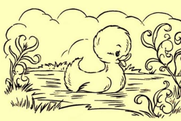 patos escondidos