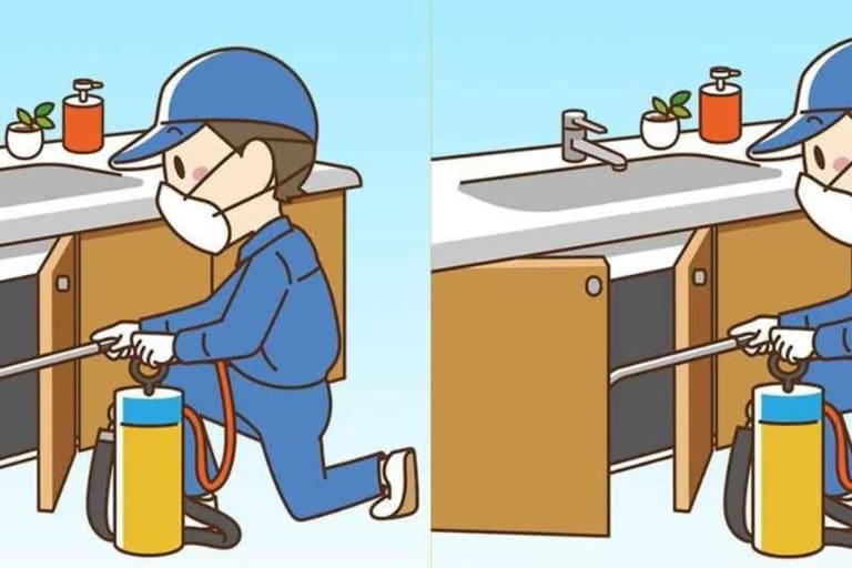 diferenças entre as imagens