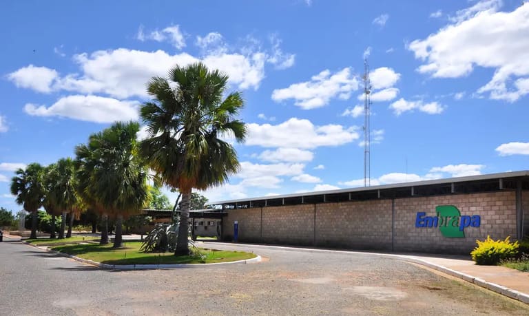 embrapa petrolina 1 Edital em breve do concurso Embrapa - Imagem: Agência Brasil