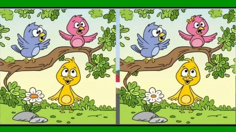 Desafio de raciocínio lógico com ilustração de três passarinhos e um pato amarelo em cenário verde.