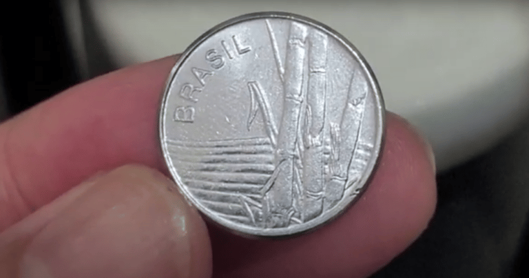 Moeda de 1 Cruzeiro de 1980: Valor e Características Imagem da moeda de 1 Cruzeiro de 1980, com a inscrição BRASIL e o desenho da cana-de-açúcar, representando um importante símbolo da economia brasileira.