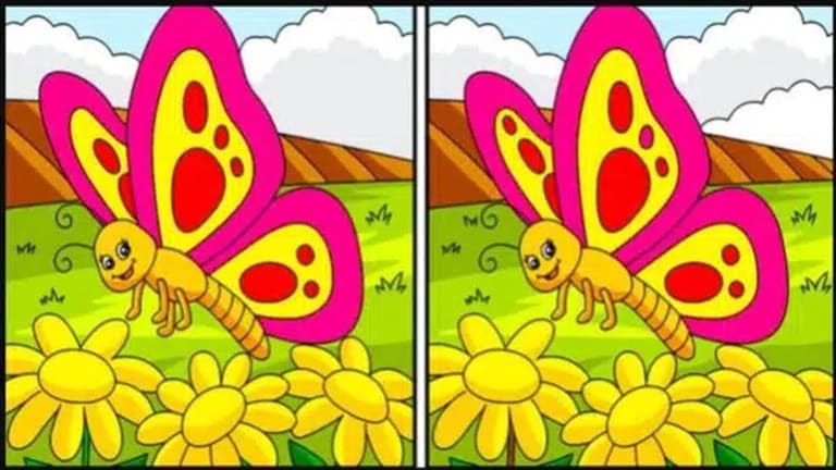 Desafio visual com borboleta colorida e oito diferenças para encontrar