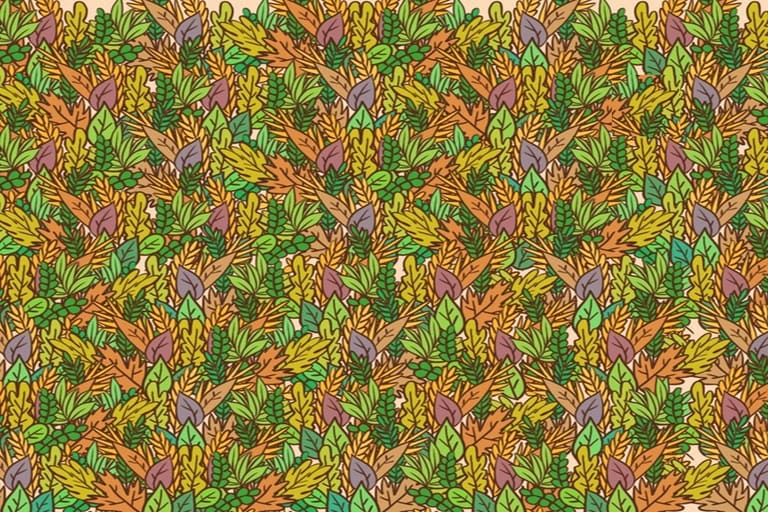 Teste visual com um padrão de folhas outonais coloridas desenhadas à mão e repetidas em estilo natural