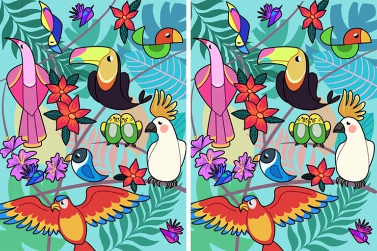 Teste Visual: Diversas aves com penas coloridas lado a lado em cenário tropical ilustrado, folhas e flores ao fundo